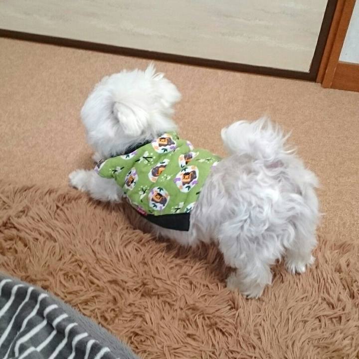 317d269a e62f 46a5 90ac 091d99ae1d55