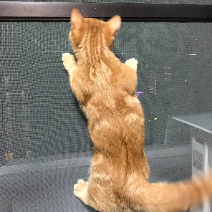 317d50fe 3113 4427 a0ec d6207e6c2cba