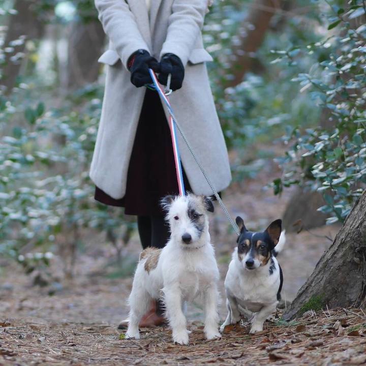 317d6080 018c 43ad 9777 840b8e84d552