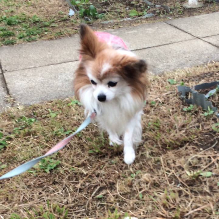 317d76a4 86ef 4c4a 8b49 521d15e7bed3