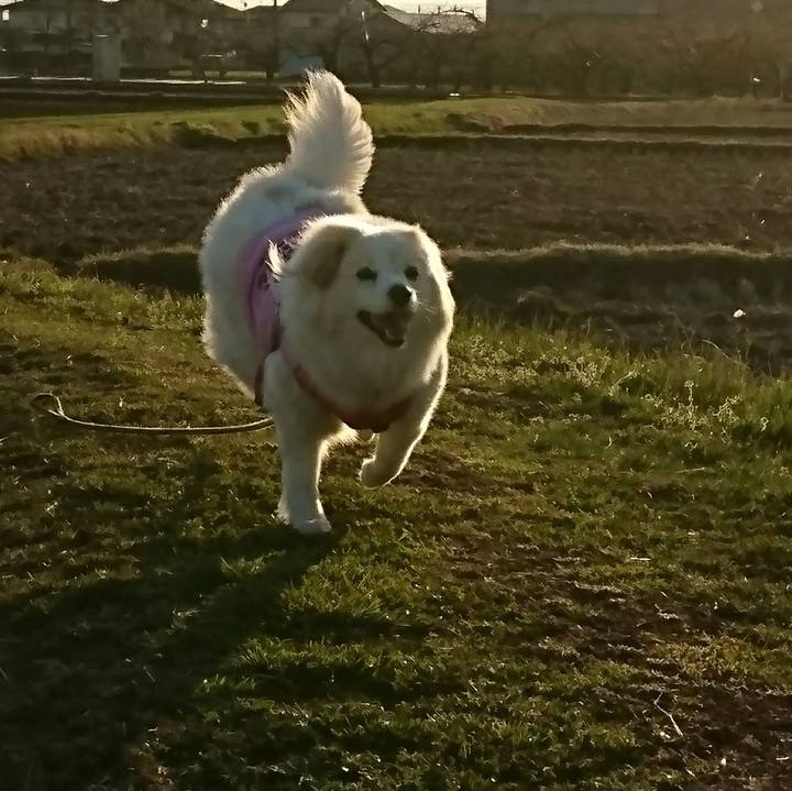 317dacd0 5d30 4683 ac76 182099d5cfbb