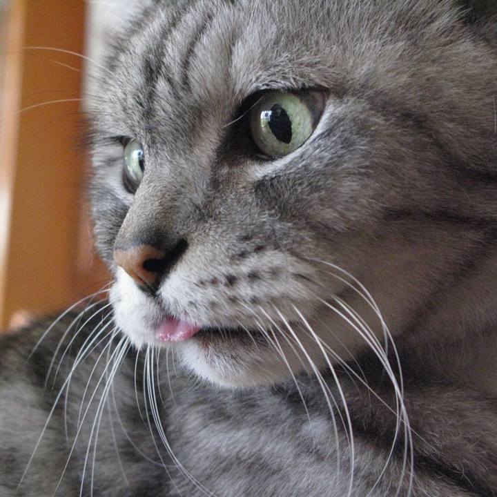 317e3e25 c485 4ef6 a9bf 2f85584db148