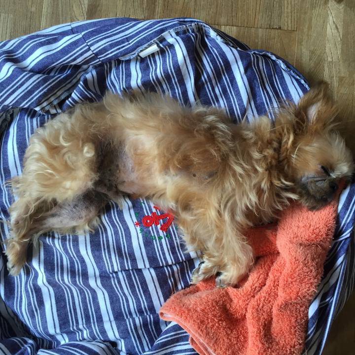 317e54e4 cc41 4ba1 8fda 122b9e95d62c