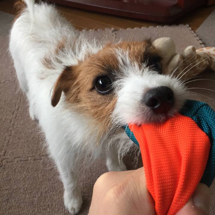 317f74a6 de90 47ac 9f81 e2bfc9ed3198