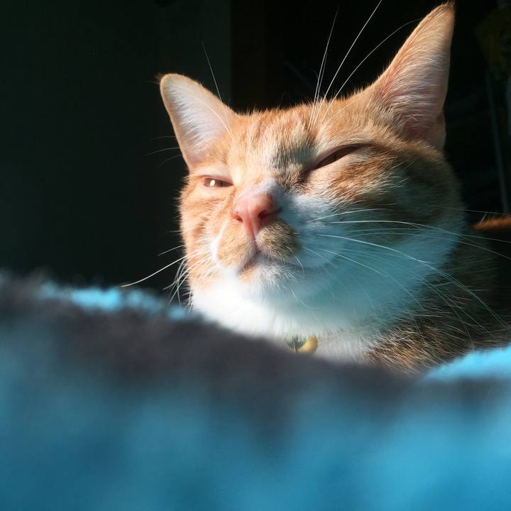 317f8346 b728 4022 8463 a8e73fb28ea8