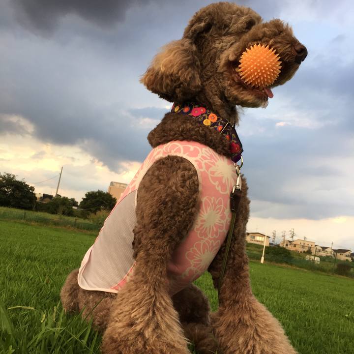 317fa128 72f0 43fc 81f7 660b1dea01b7