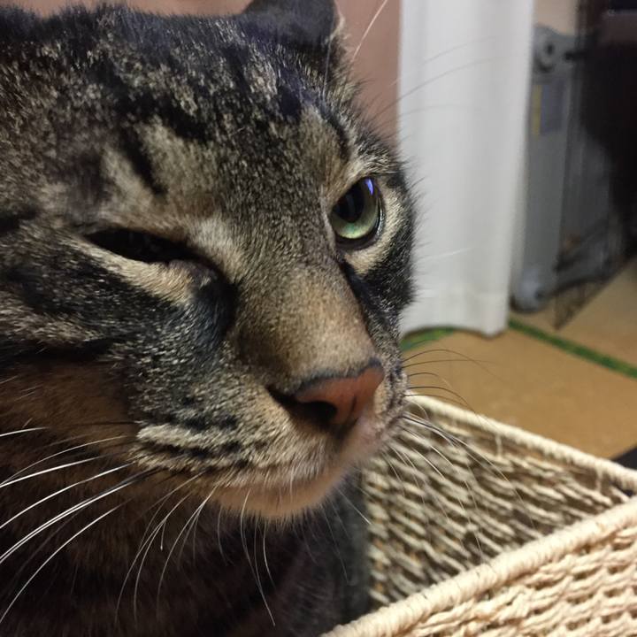 317faa8e 457c 4afb bb4e c14d2537c511