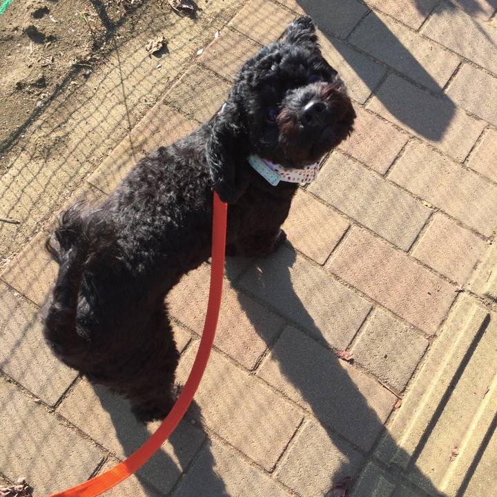 317fd14b e547 4386 82b7 f9caaab9f6e3