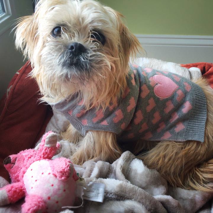 31801ad3 8628 41e4 9ba7 2349853fd8d0