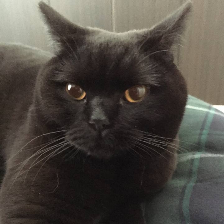 3180a0f6 7233 4fd4 8cd0 0715d659b7fd