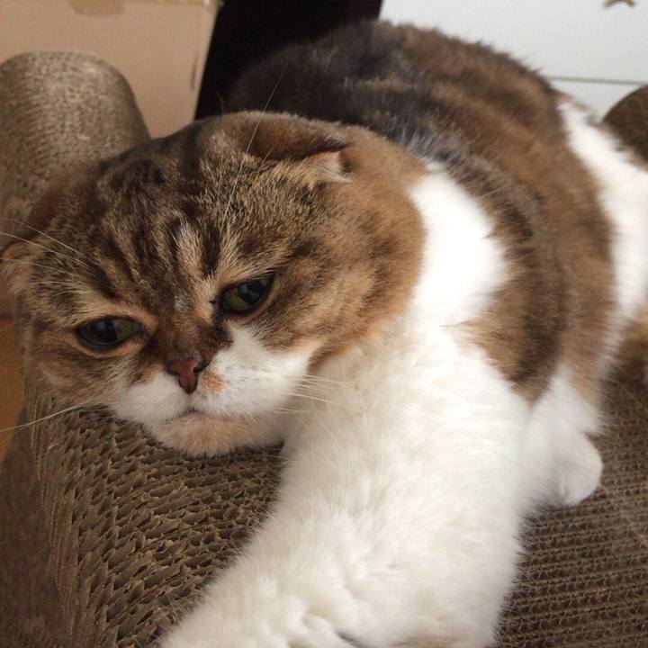 3180aaca 2cd5 4410 aa55 5e3698f6119a