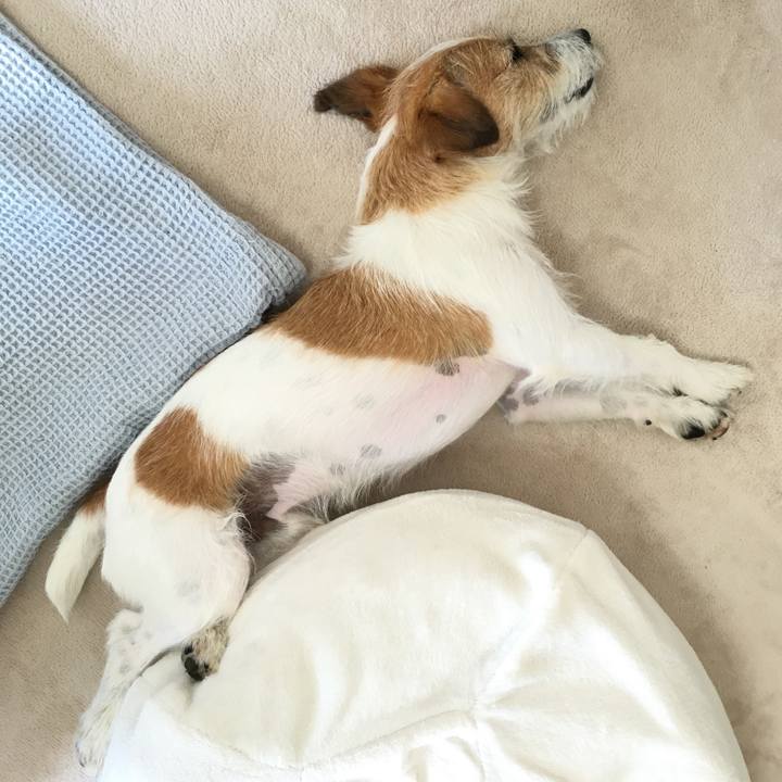 3180da33 50f3 4890 aa4e c485389ba275