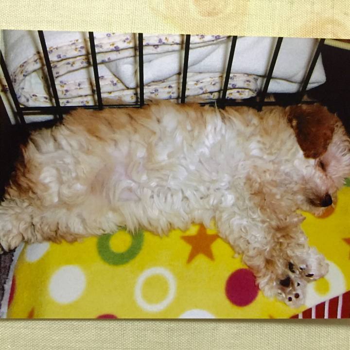 318100f9 963e 4ccf 8990 5abdbbeedb3a