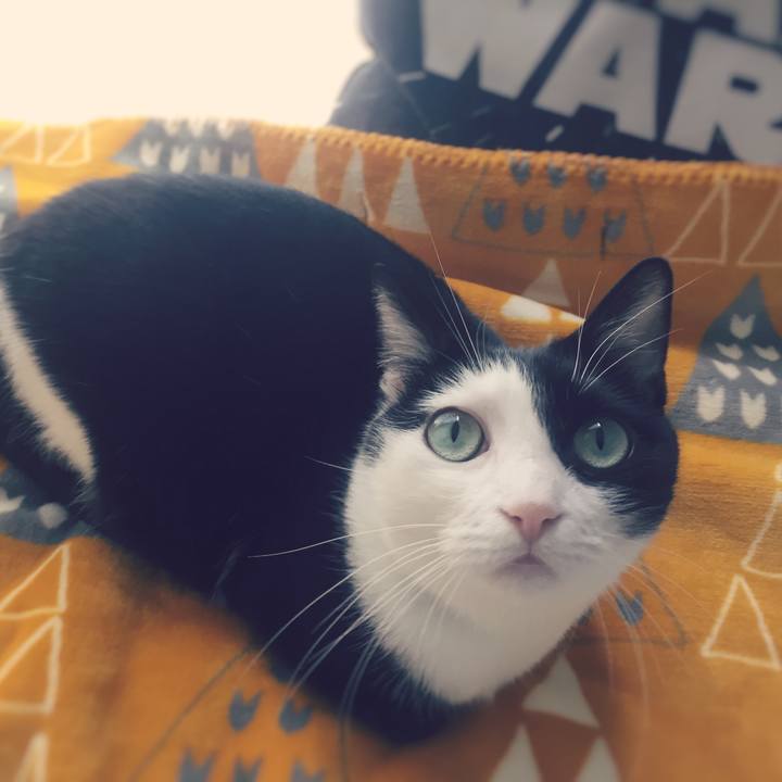 318138eb 2b60 499d afe5 2ba48eef4dae