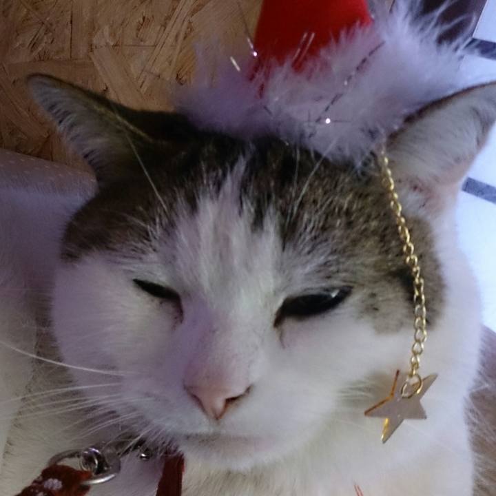 3181af5e 309e 400b b827 bcbec6a47007