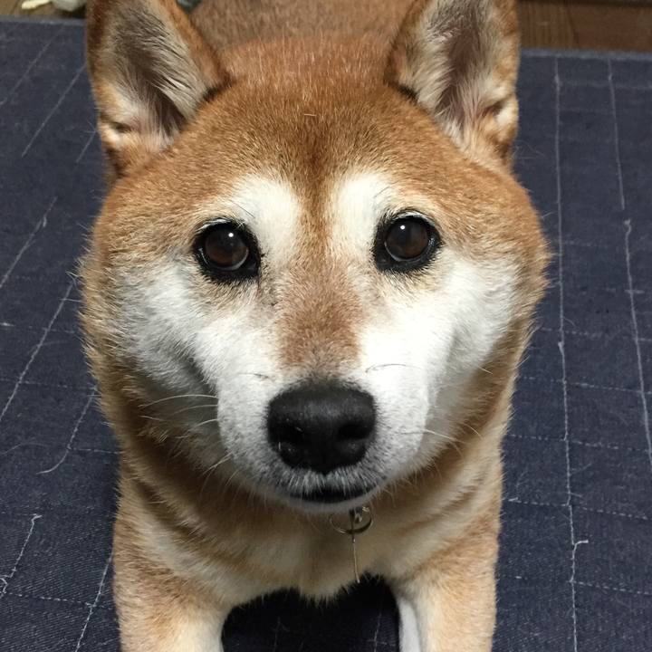 3181f5b3 5741 48b4 9cfc 0eee6235e985