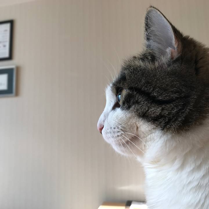 3182bdc5 c465 48cf be4f 6e21099c867b