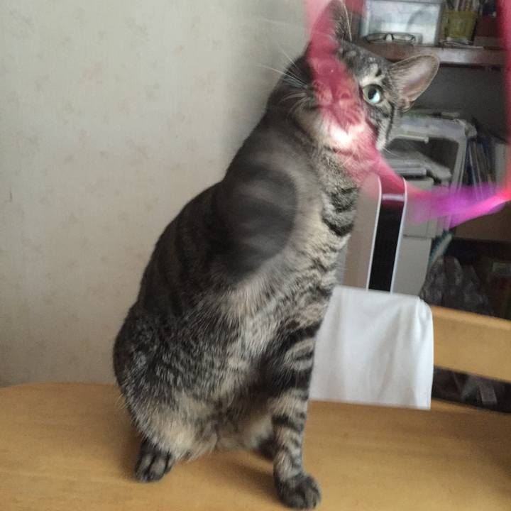 3182bf23 a801 4f57 a5b8 564a660a7f82