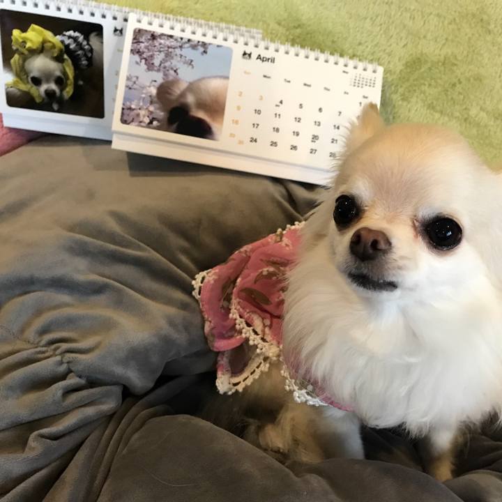 3182c9d5 ba45 4262 b6da cb39a1538a25