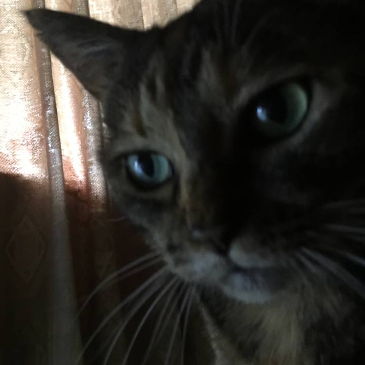 3182eceb ede2 4b12 a9f8 5bf316a16206