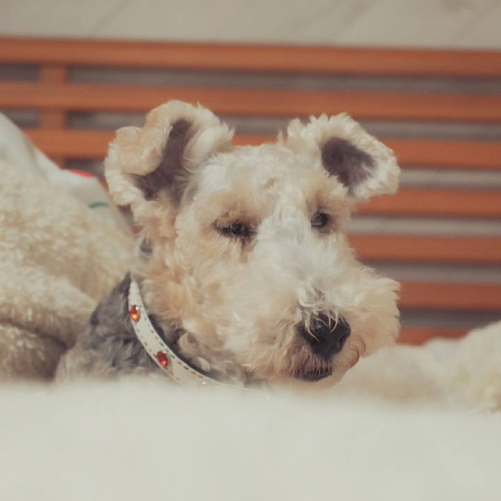 31835a17 dd75 4a8e 83d0 70308c360aec