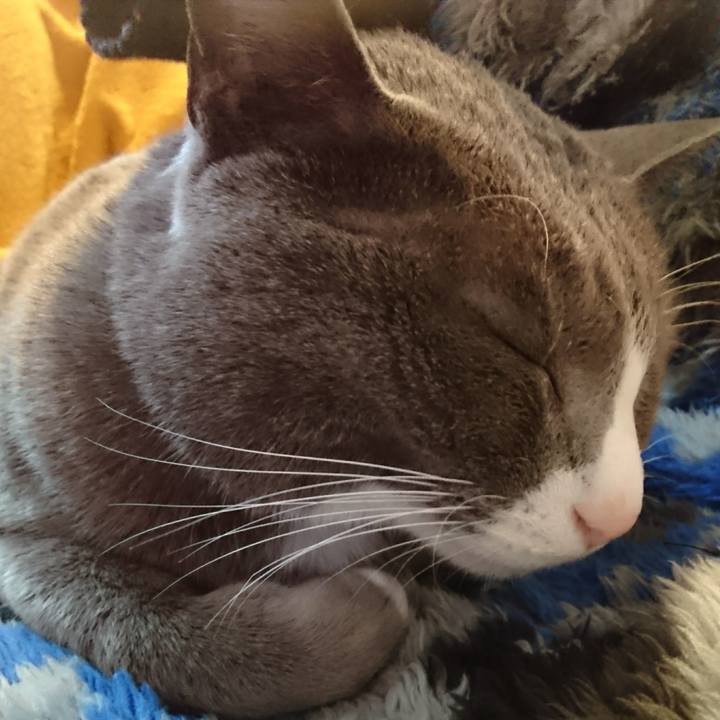 318377e3 fa48 499f bb8f b463d2e3275a