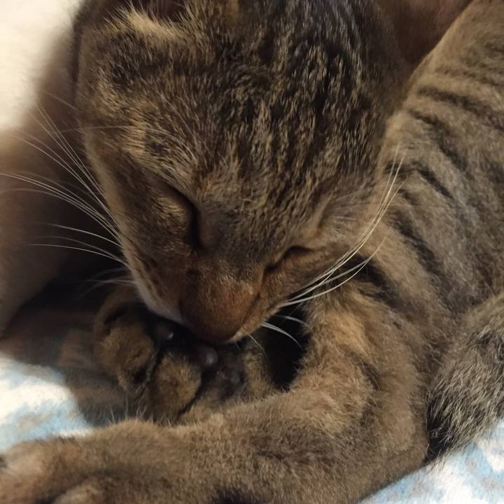 3184339a 3ada 4c23 91b7 737632d09c8e