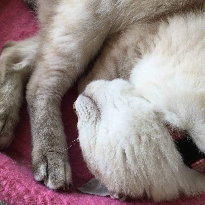 31846a69 c9f6 4867 9c1c 8d06f0c0a039