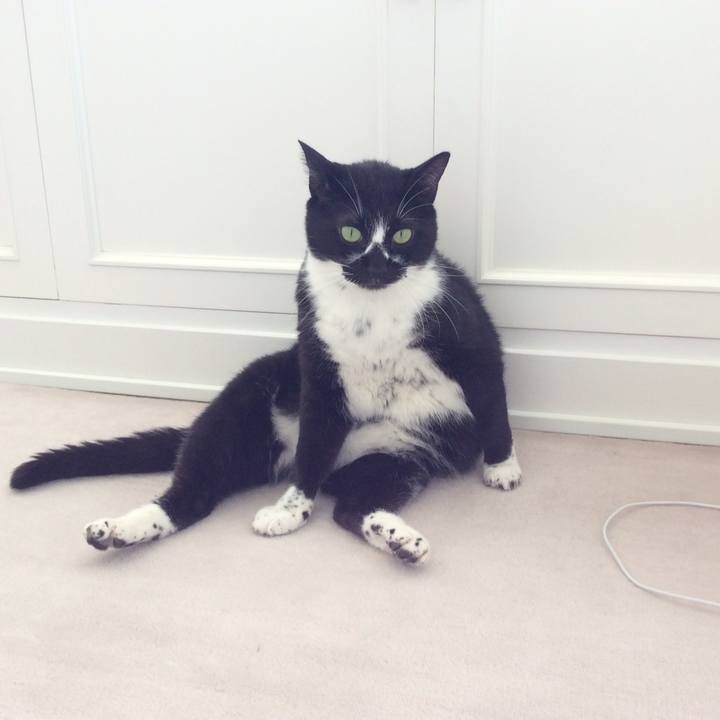 31847c1b 774e 4b72 976a 9d89be7c8a35