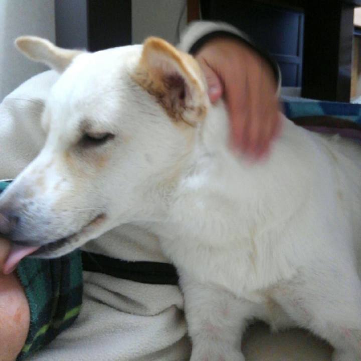 31851c6d 49be 4f74 84f6 daf39cf75813