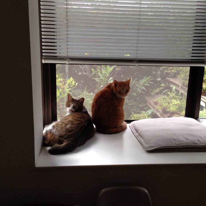 31858218 990e 4f93 aaf4 be6aae5a4950