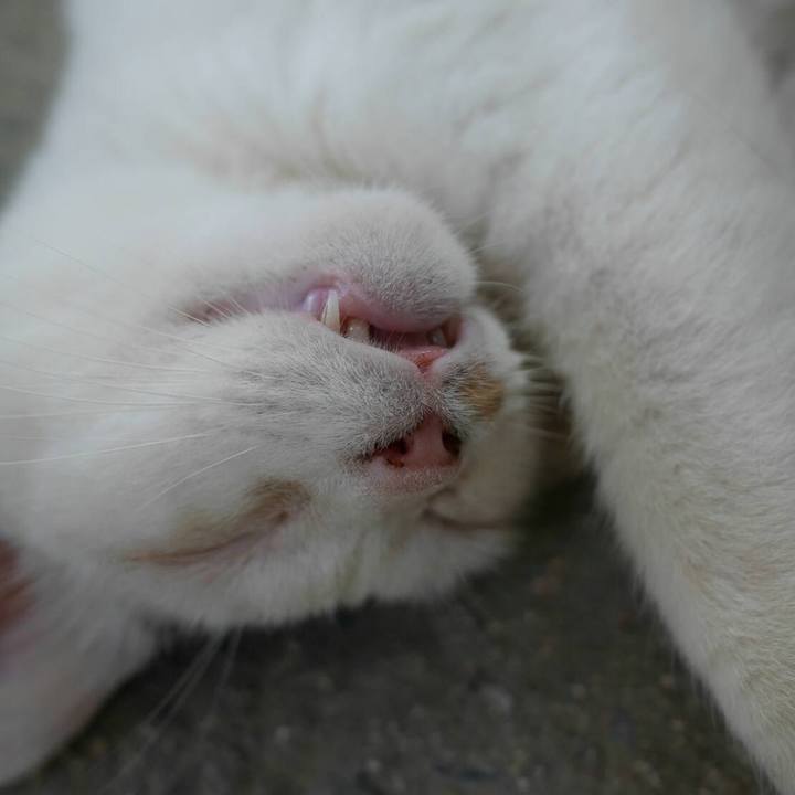 3185ad05 e943 4dae a7a8 d07c50b09acc