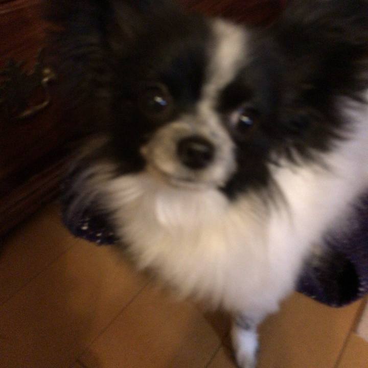 3186db47 12b0 4be4 a2ad 5f3ad94bbfa7