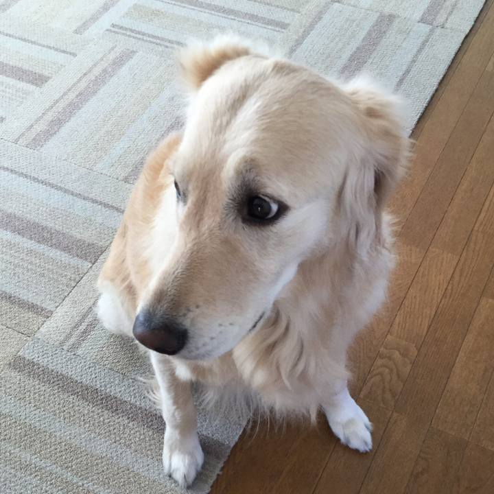 31873228 abcb 483f 9063 cbdf25d7ca34