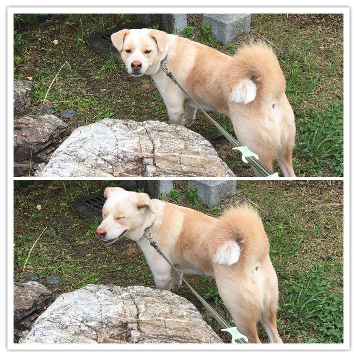 31875ba7 a08d 4bfb 8081 d7bc3d95d631