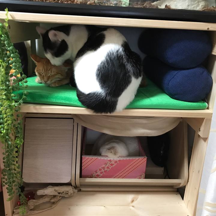 31876aa0 630d 477e a74f 4858de4838f6