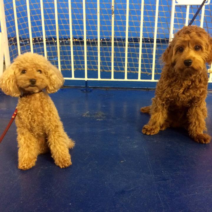 31879016 9227 40e9 bb96 8bc9fd0127eb