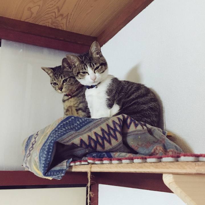 3187eba9 85d1 4833 b121 4854046eaaf6