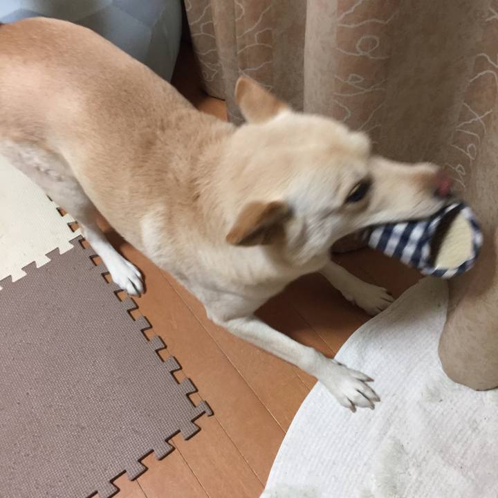 3188293b 1818 4bfd 801f c5bd07dfa08b