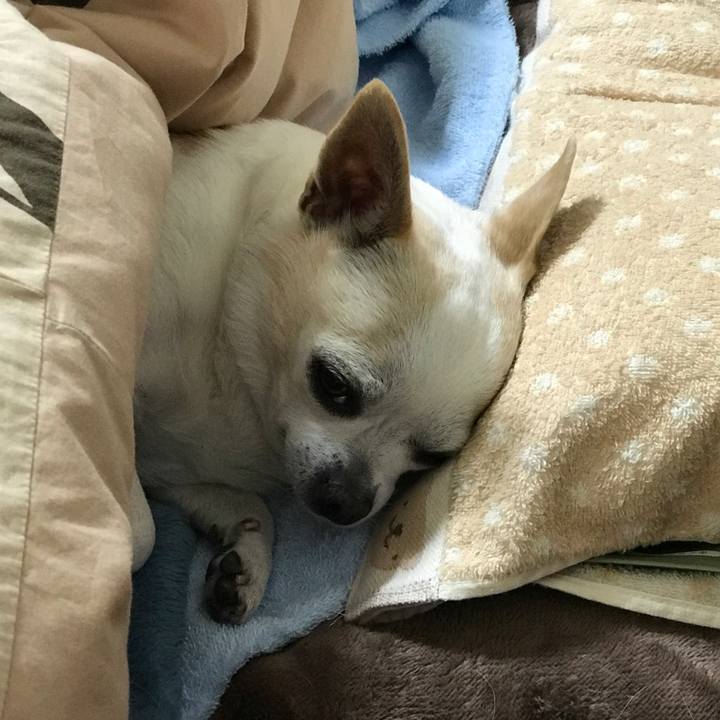 3188bd1e 8950 4bd4 9863 c4a5fcbc871f