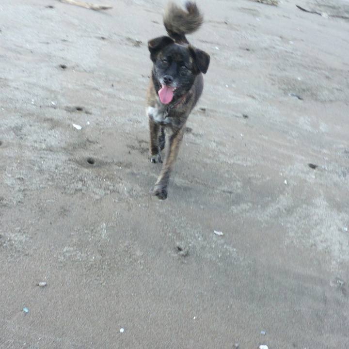 3188bf48 00ed 463e 8b3b eabe48e9ebef