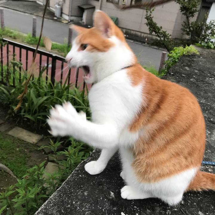 3188cde8 7975 437b 9fb8 b85f76bc201c