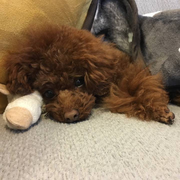 3188e93d 53f3 4636 9d85 2a5357a3ffcf