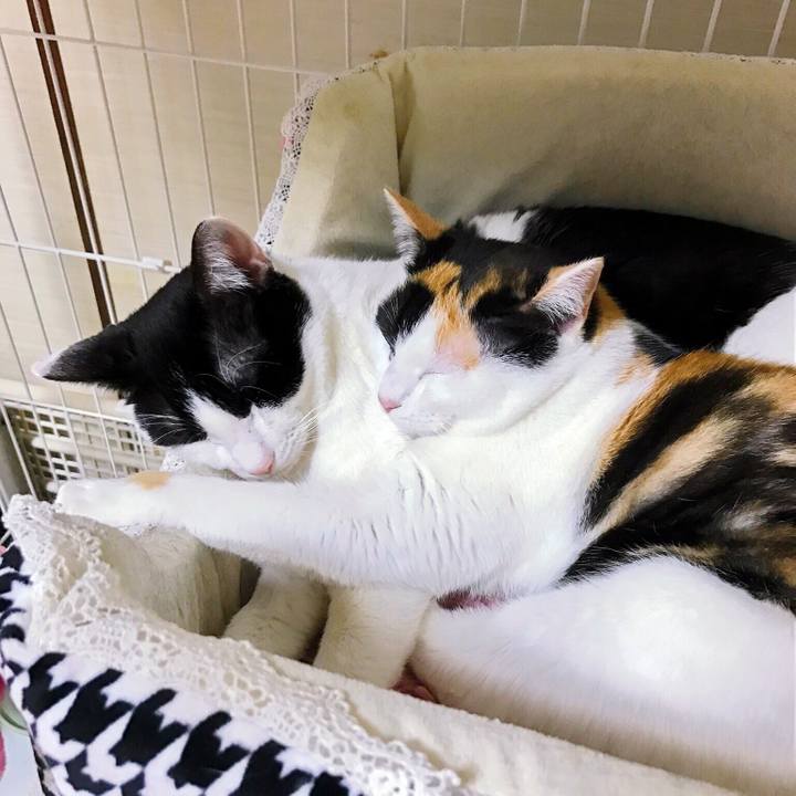 3188f69d 7a8d 4b1e 8277 26fa31ce522c