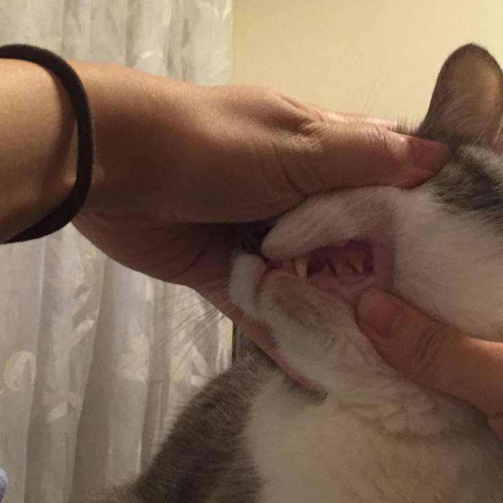 3188fddc e0d2 4247 926c b45d5d826b20