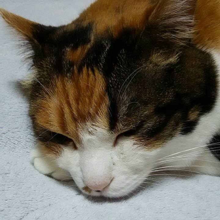 31891531 0755 4a4b a980 9a9d843ed290