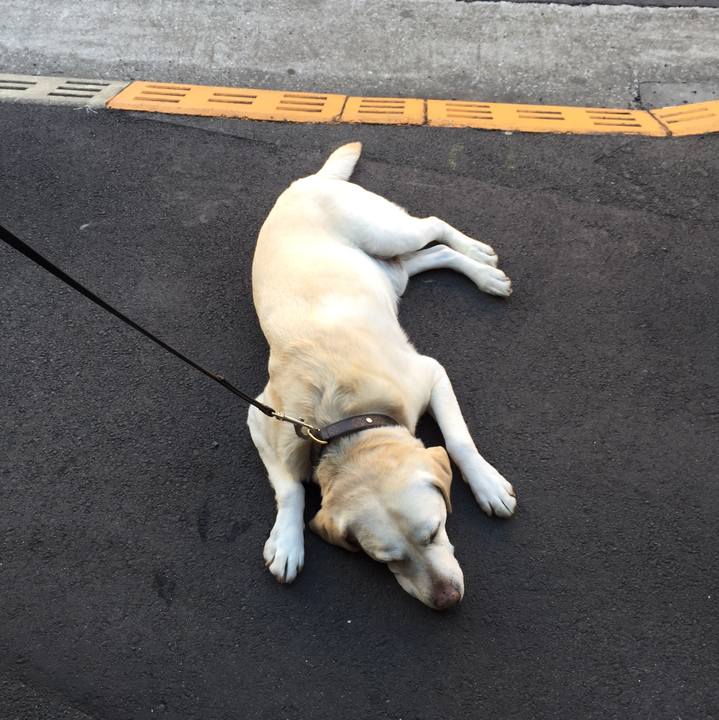 31896fe6 3f97 41f6 a900 21a77bac30a6