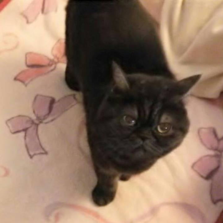 3189ba97 418e 48b3 ab21 f0fbff420f45