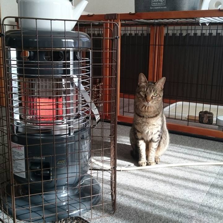 318a1187 3d4b 4e64 958a 93fad9caaf09