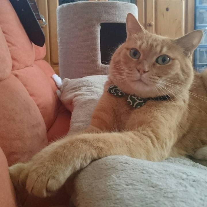 318a1923 db27 4701 8347 fbf96f0fdfe3